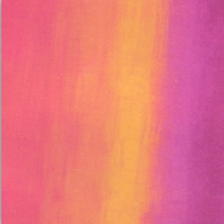 Heidi Grace Designs - spectrum pyo gradient 12x12 paper  (pack of 10)